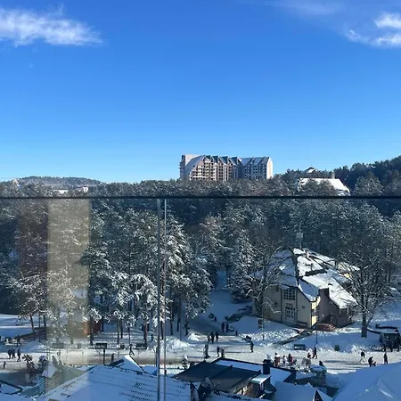 Apartment Zlatiborski View *