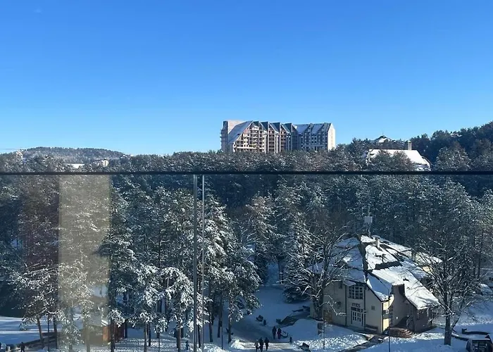 Апартаменты Zlatiborski View *